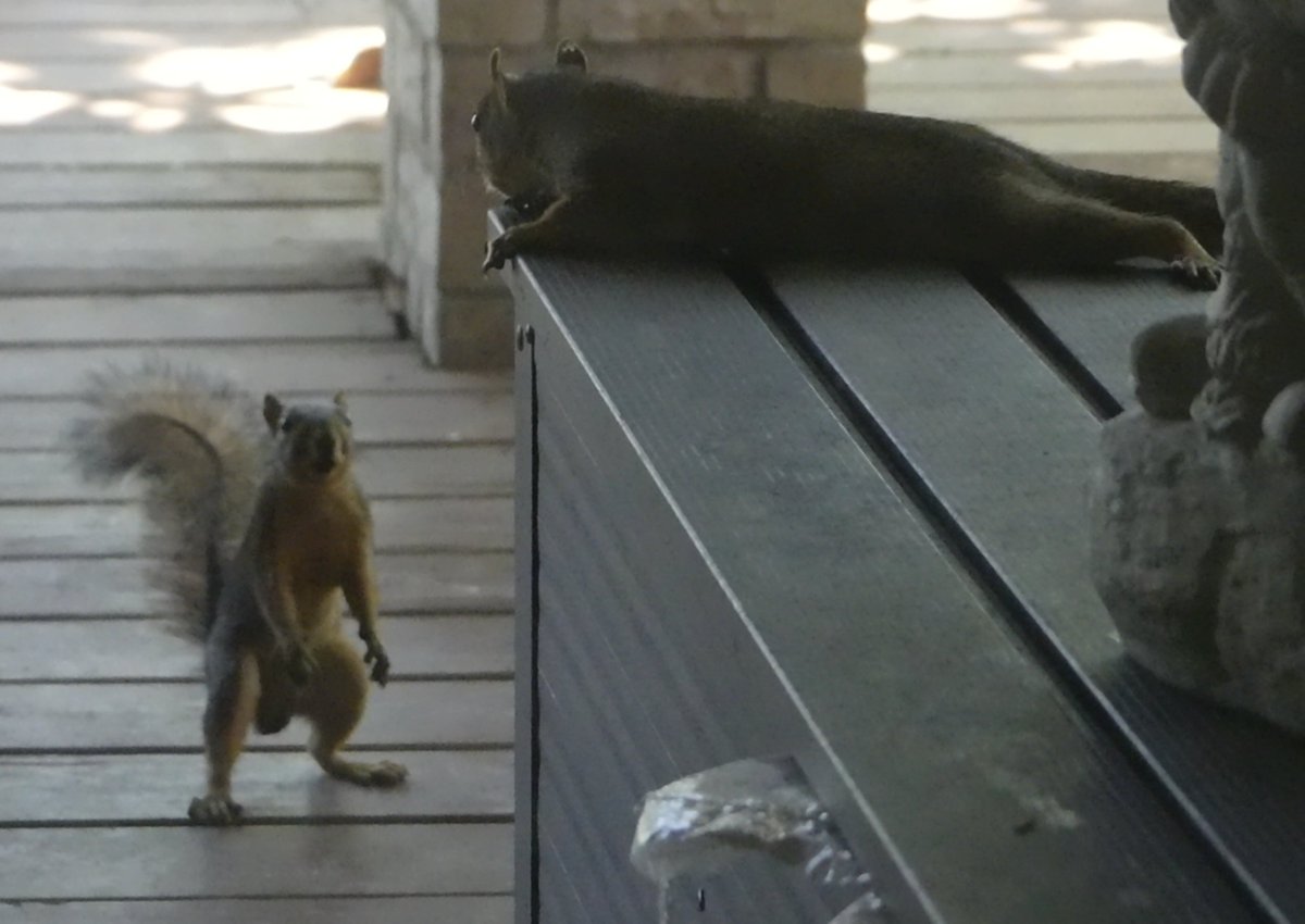 Mark Nau (@mark_nau) on Twitter photo 