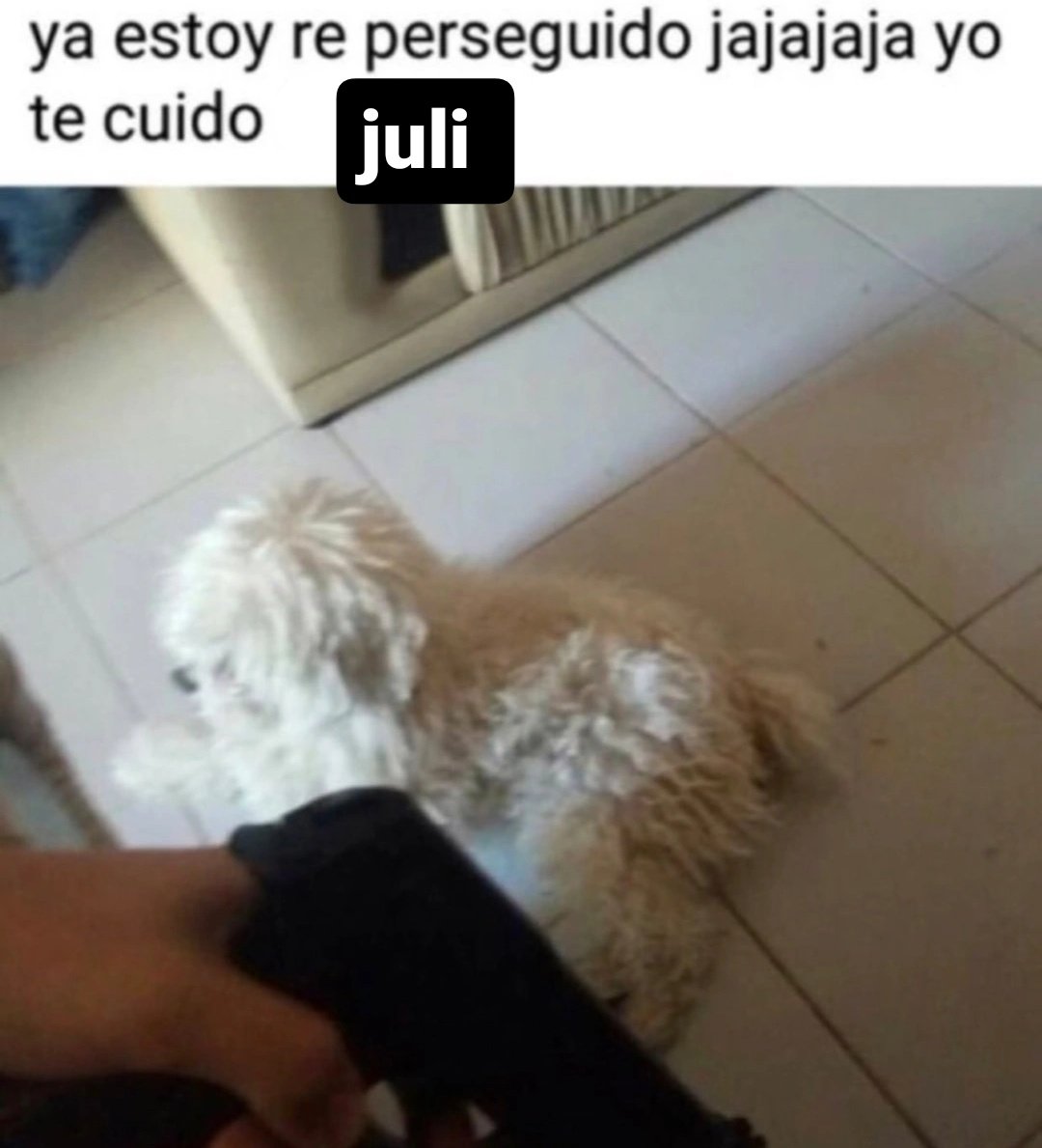 no entro a tw hace 2 dias y veo q bardearon a mi amiga no pasaran