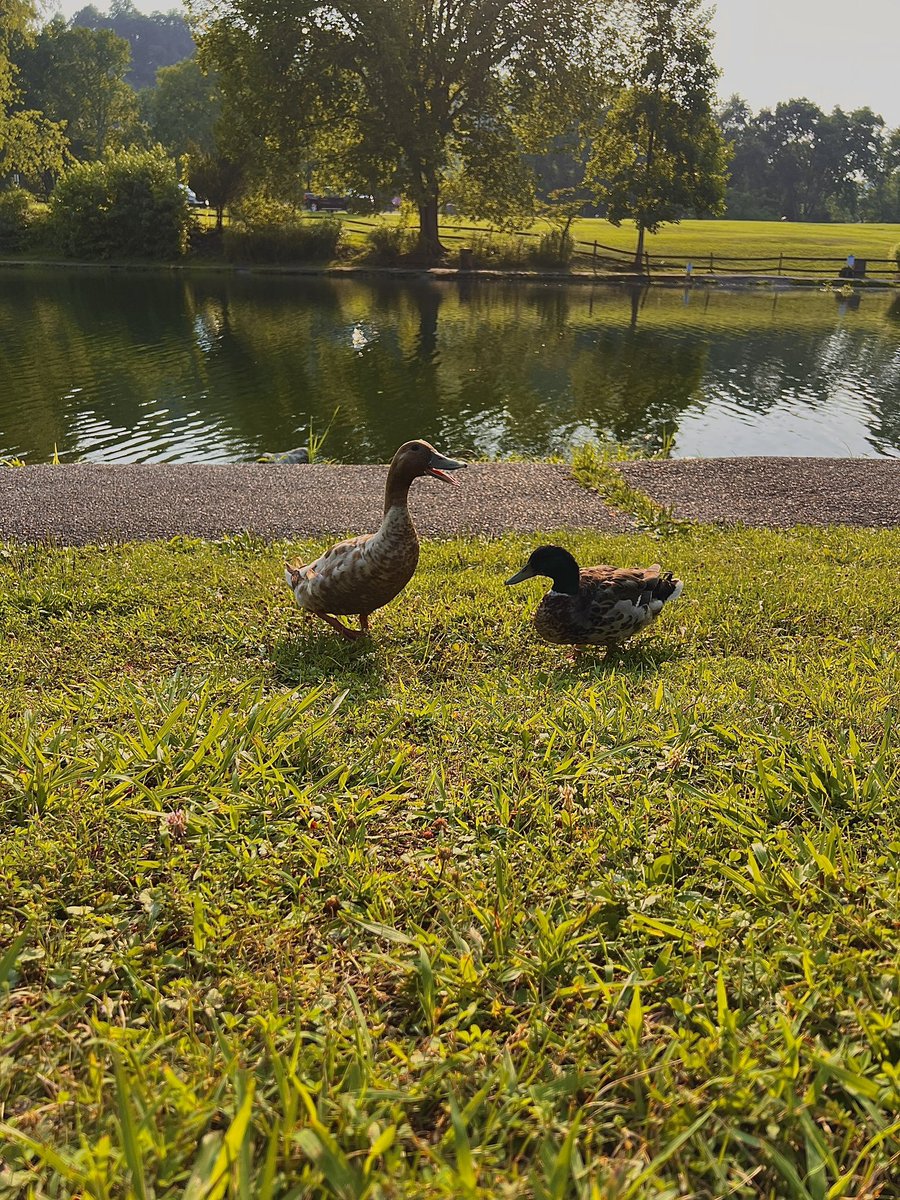 hannnahnic_'s tweet photo. our day 🤍📸 🦆 @kenzi__evans https://t.co/Af8OrRzIk8