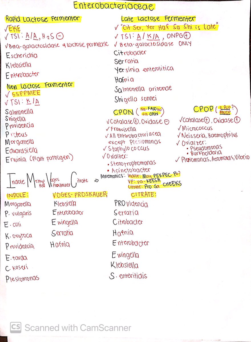 SlicesOfMedtech's tweet image. 🍕PLS DONT FORGET THE BASICS🍕

I asked my RMT friend who passed last March 2023, and she said almost 60% of MicroPara are the basic ones (Introduction to Micro)

Also, sabi nya master the lab procedures and biochem ID for both micro and para.

Kaya natin to! 25 days to go🙏🏻