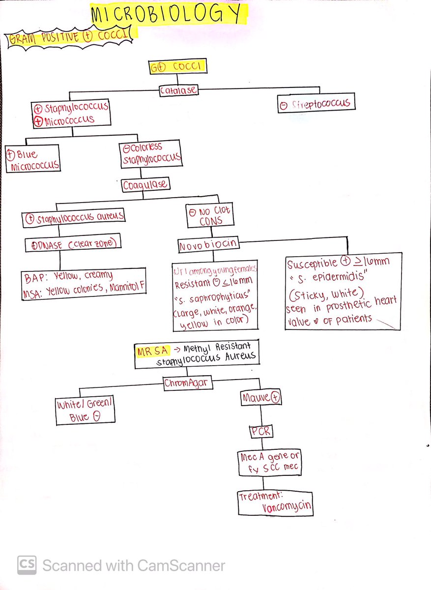 SlicesOfMedtech's tweet image. 🍕PLS DONT FORGET THE BASICS🍕

I asked my RMT friend who passed last March 2023, and she said almost 60% of MicroPara are the basic ones (Introduction to Micro)

Also, sabi nya master the lab procedures and biochem ID for both micro and para.

Kaya natin to! 25 days to go🙏🏻