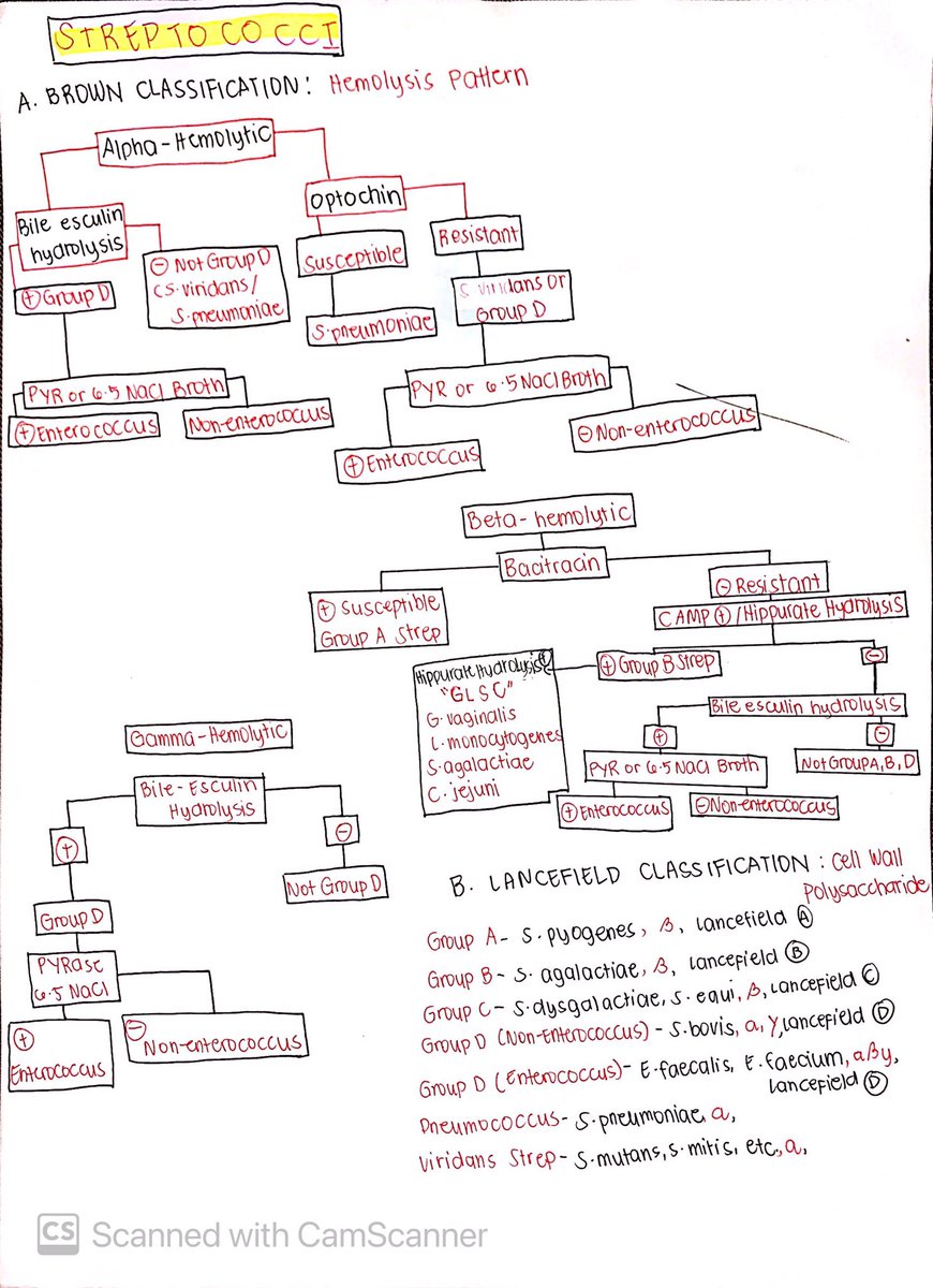 SlicesOfMedtech's tweet image. 🍕PLS DONT FORGET THE BASICS🍕

I asked my RMT friend who passed last March 2023, and she said almost 60% of MicroPara are the basic ones (Introduction to Micro)

Also, sabi nya master the lab procedures and biochem ID for both micro and para.

Kaya natin to! 25 days to go🙏🏻