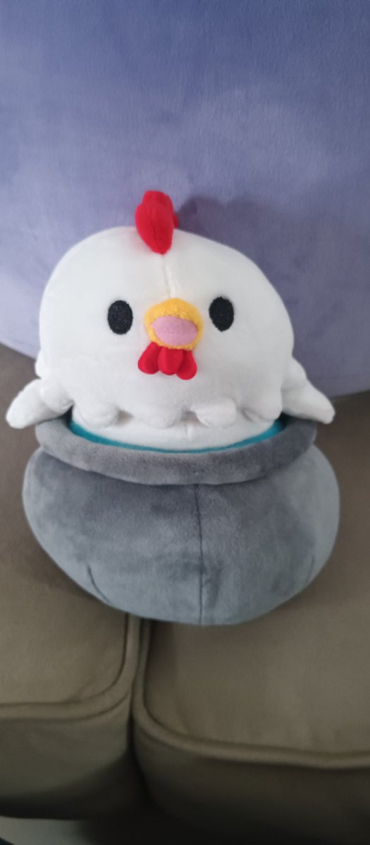 KnightEverhart's tweet image. Just got my Bawkplush delivered. I'm so happy to finally add this little guy to the gaming couch.

Thank you @Bawkbasoup keep up the great work.