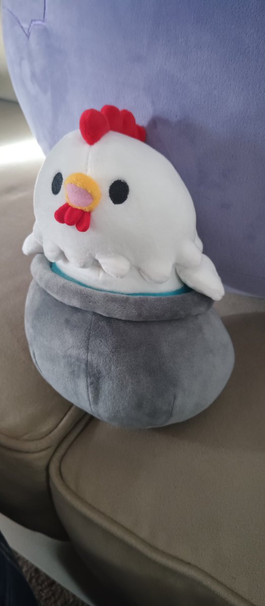 KnightEverhart's tweet image. Just got my Bawkplush delivered. I'm so happy to finally add this little guy to the gaming couch.

Thank you @Bawkbasoup keep up the great work.