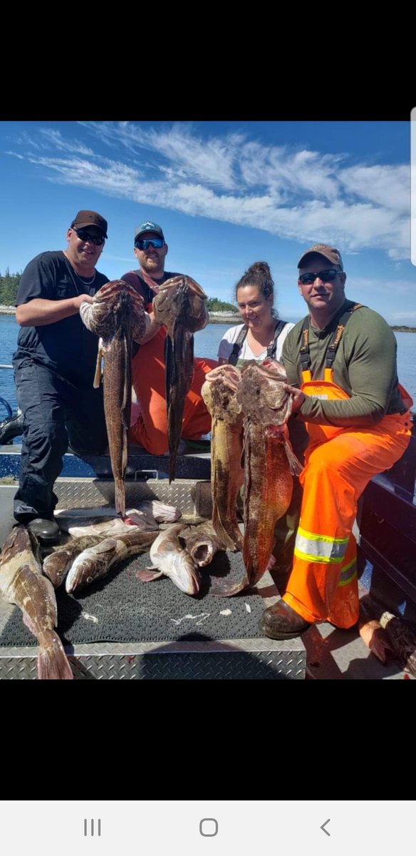 Back in Rupert. Filling the freezers