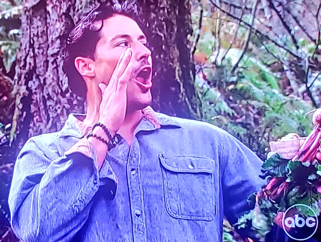"Asserting dominance" is my trigger-phrase #thebachelorette