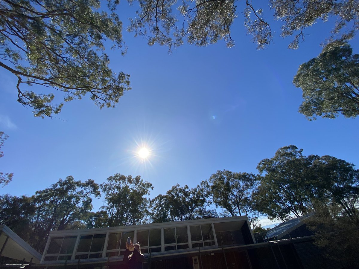 hsauquet_bgsyd's tweet image. Had a touching and inspiring time this morning at Yandel’ora on Dharawal Country celebrating #NAIDOCWeek by designing and making an ephemeral mural with all ABG staff. This place definitely has a magic to bring people together. @BotanicSydney