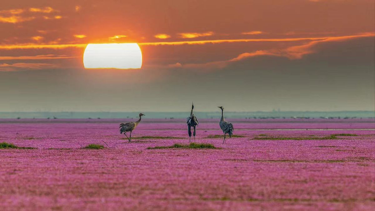 招商信诺💙 De.Fi Army tweet media