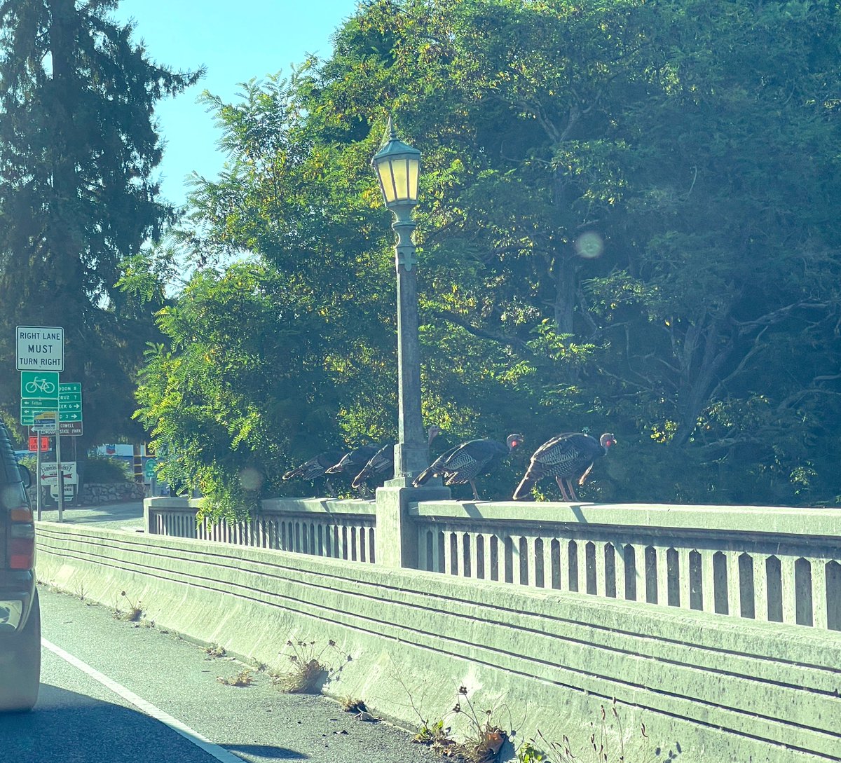 SCMountainDad ⛰⚡️🚙 🇺🇸 on Twitter: 