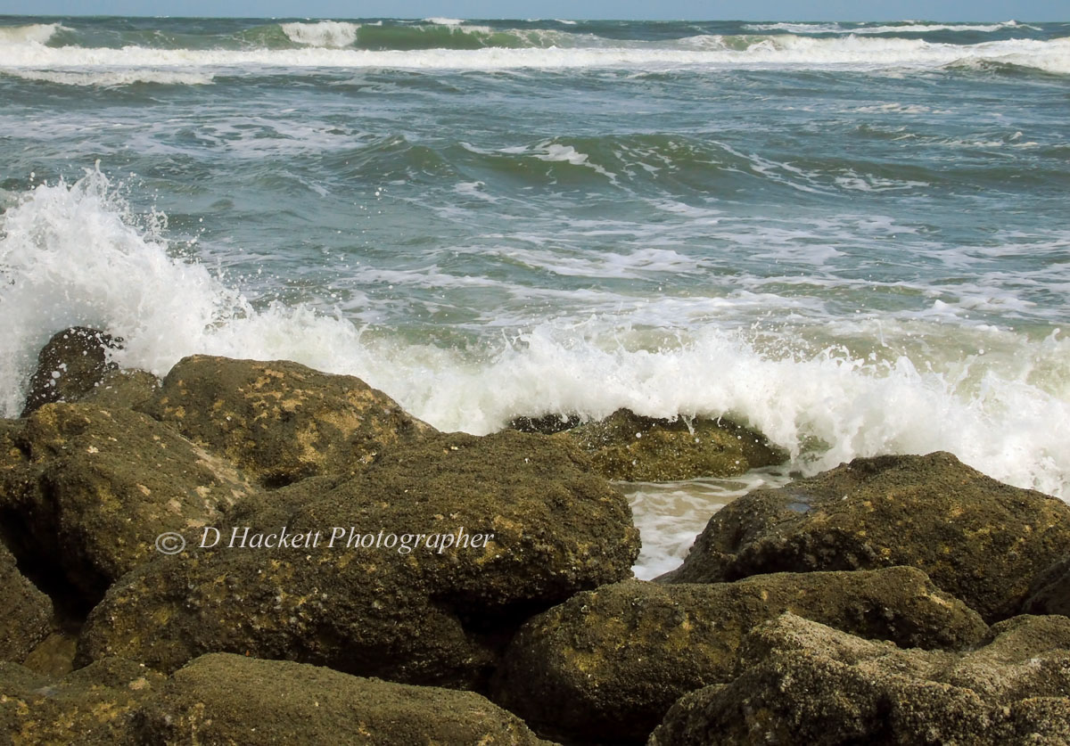 Washington Oaks State Park has the second largest outcropping of #coquina rock found on Florida’s #beaches. Hurricane Dorian was off the coast and the ocean was churned up with white caps pounding surf powerful wind and large waves. https://t.co/zr499P4486 https://t.co/JBu7iFRYV8