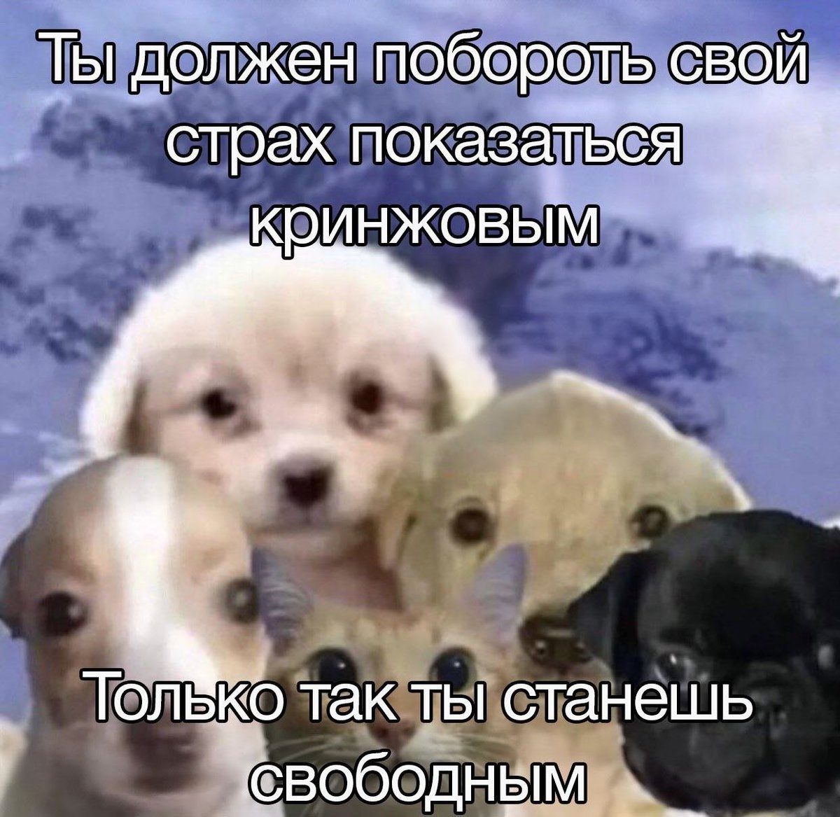 lagoda1337's tweet photo. https://t.co/95yZ4iFKUL