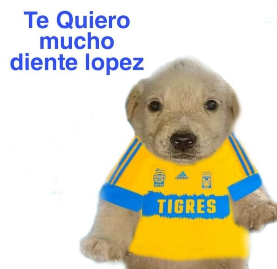 Te Quiero Mucho Diente López Todos Los Días🦷 tweet media