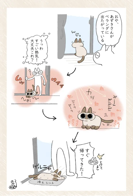 暑すぎてずっとこれ #シャム猫あずきさんは世界の中心