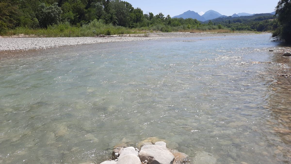 icidromeardeche's tweet photo. La chambre régionale des comptes alerte sur la ressource en eau de la #Drôme https://t.co/CBfRslKwFc https://t.co/4YY6qrqAXF