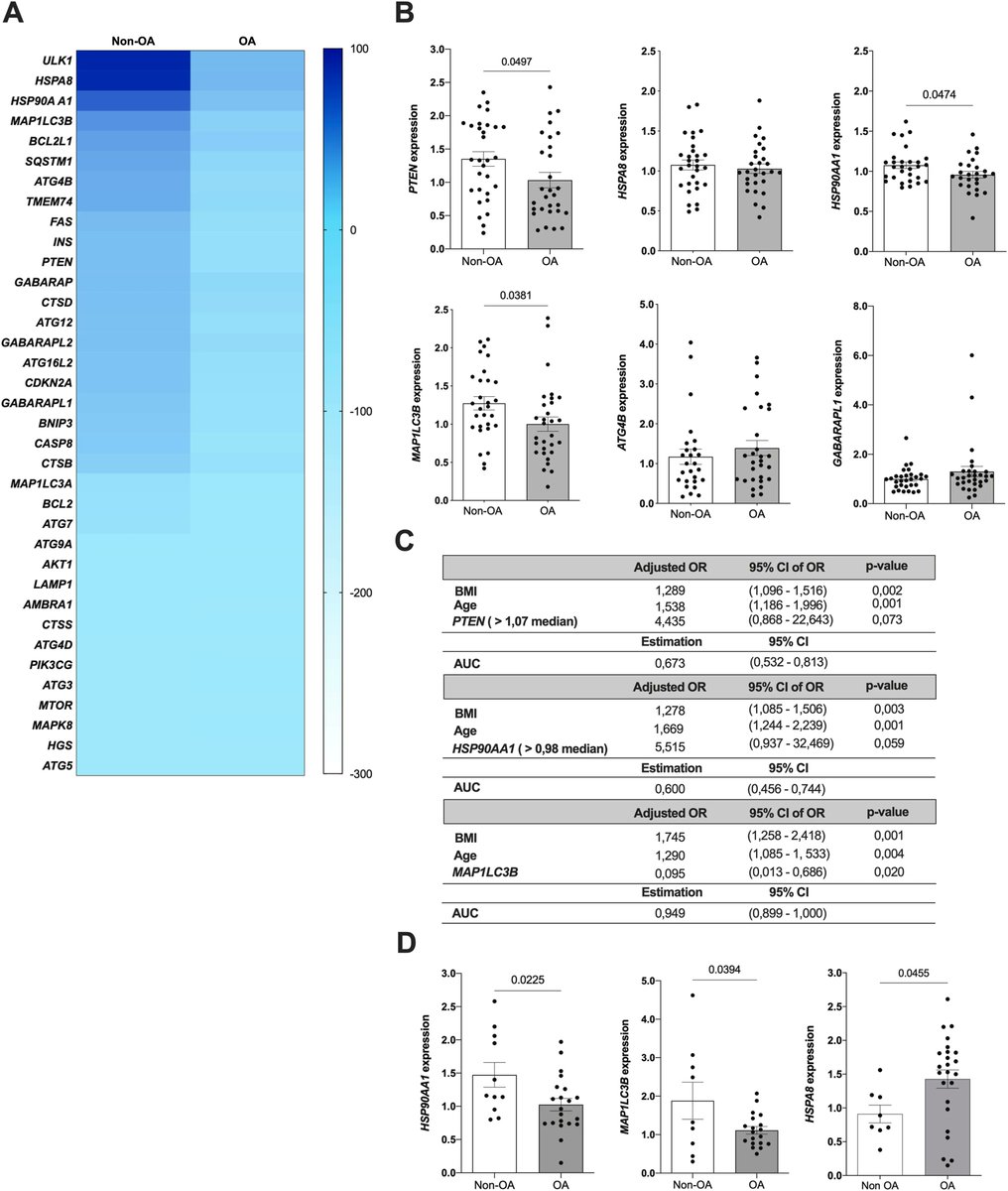 Osteoarthritis and Cartilage Journals tweet media