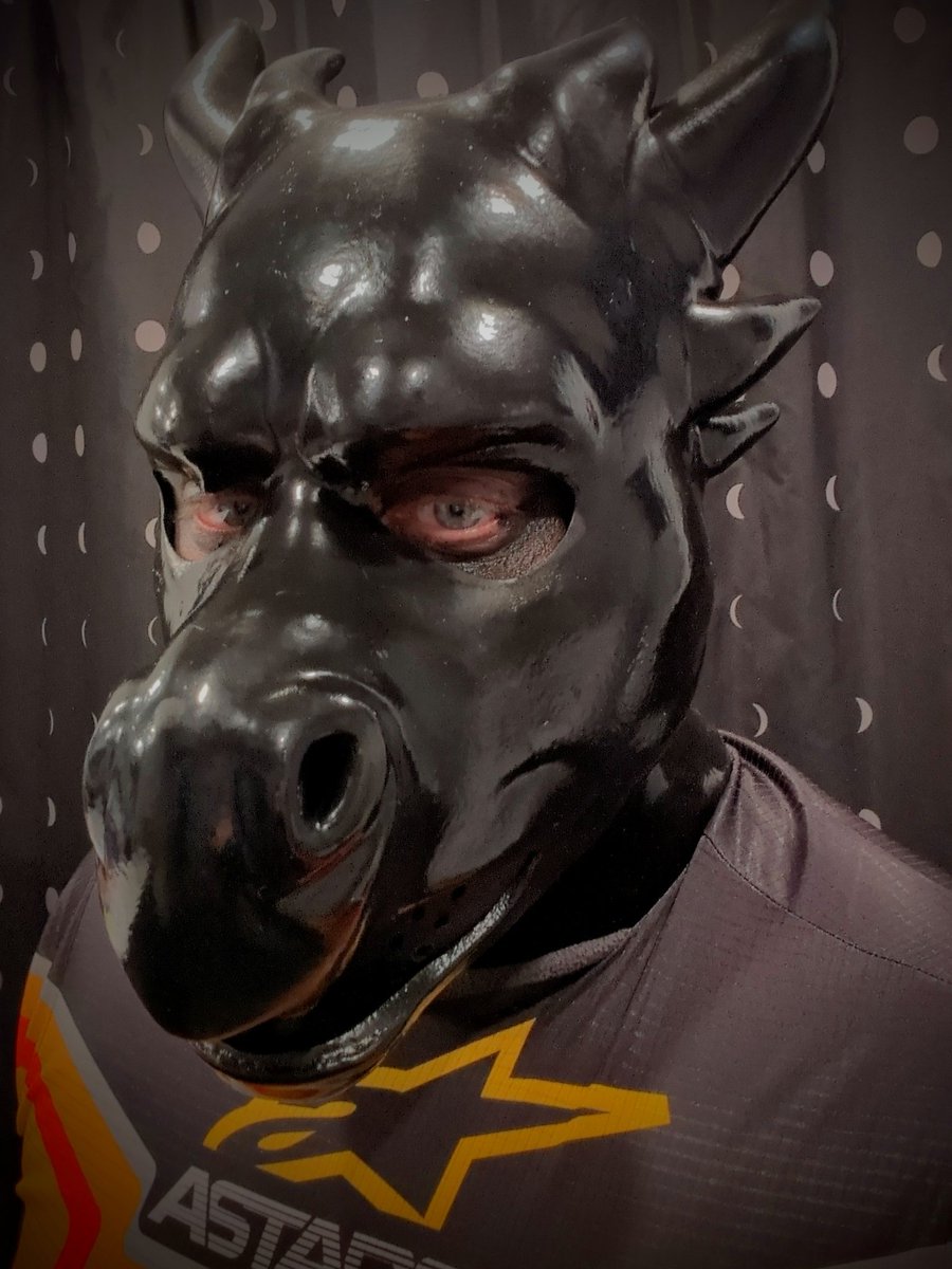 gearedrock (Pup Paws) @ gbus tweet media