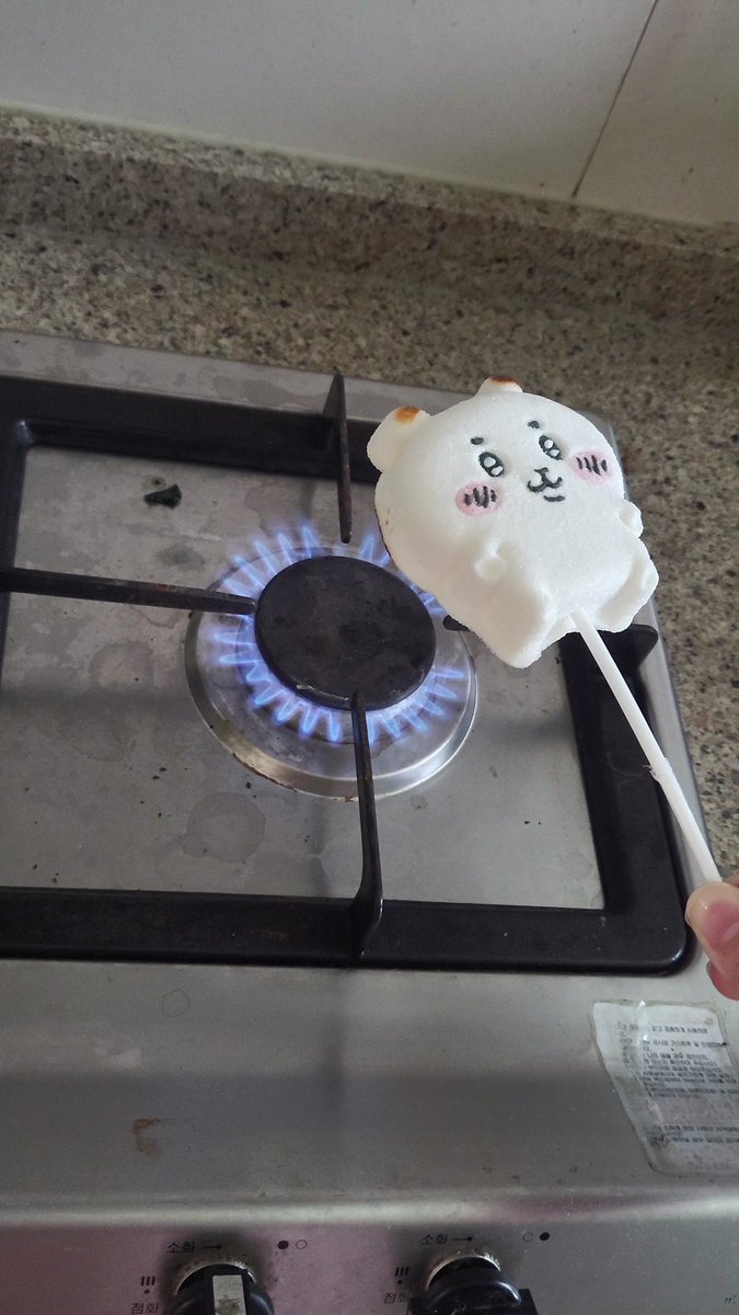 I_want_you_H's tweet image. 치이카와 마시멜로 구워먹기