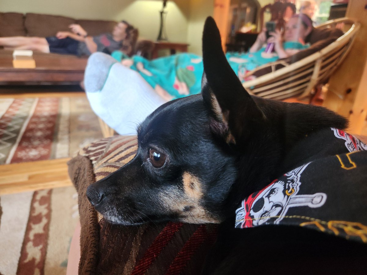 sherriedunlap's tweet photo. Watching the @Pirates with this tiny Bucco Fan! #LetsGoBucs https://t.co/htLKj130R6