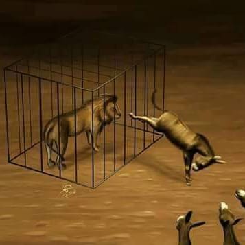 ٠ tweet media