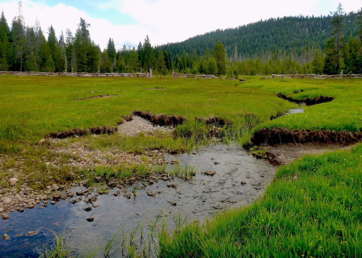 #JobOpportunity – @UCDavisWater is looking to fill a #PostDoc Research Associate position in ecohydrology & processed-based restoration. Apps are reviewed as they arrive; open until filled. Preferred start date: Sept 1, 2023. watershed.ucdavis.edu/news/postdoc-r… #PostDocPosition #PostDocJobs