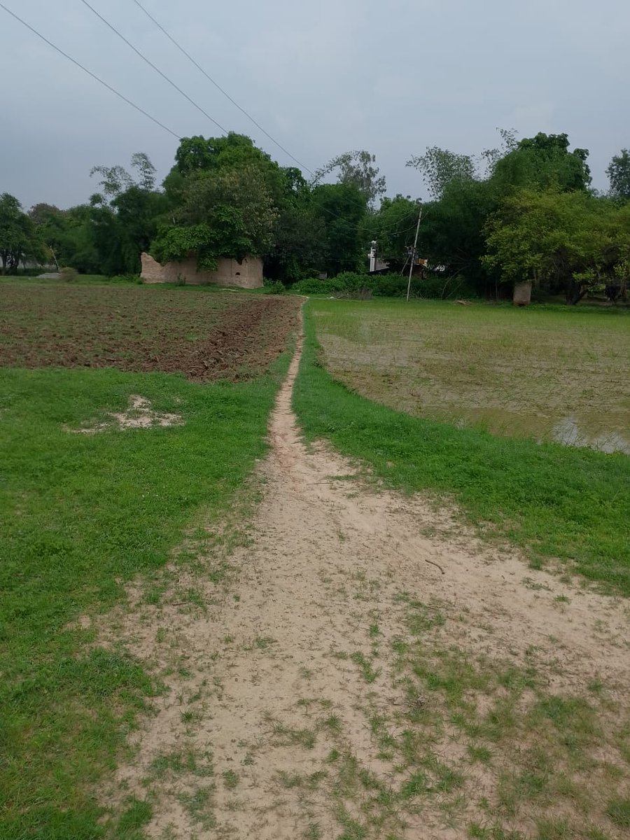 रास्ता न होने के कारण ग्रामीण खेत की मेड से आते जाते थे जिसे आज भूमिधर ने जोत कर बंद कर दिया। प्रतापगढ़ के लालगंज तहसील स्थित गांव छेमर सरैया में जोते गए मेड पर निकलते गांव वाले। अन्य रास्ता न होने के कारण गांव के कई ग्रामीण घर में फंसे।