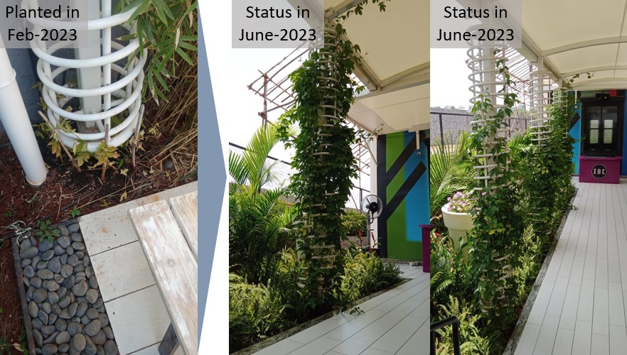 Change is a must for getting to a new state and successful change is nothing but pure satisfaction of the efforts we had put in.

#plantsmakepeoplehappy #landscapedesign #pune #greenisthenewtrend #plants #change #SuccessStory