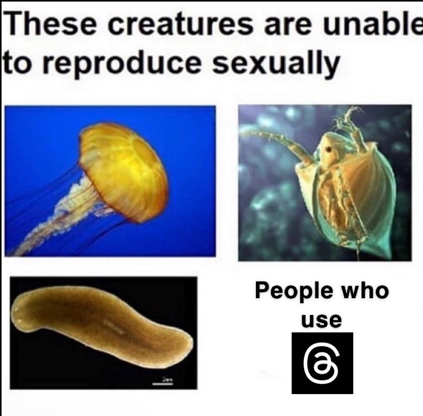 Sir Doge of the Coin ⚔️ tweet media