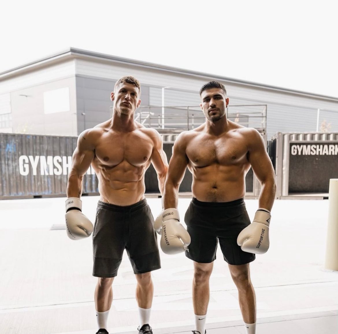 Boxing Kingdom tweet media