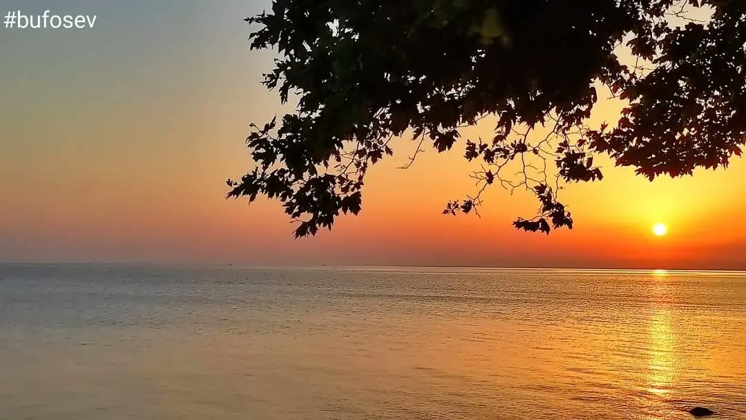 fototurguthaci's tweet photo. Gün doğarken...
Bulancak, 15 Temmuz 2023
#bufosev #fototurguthaci #yansımalar28 #giresun #bulancak #yaz #bulancakgram #bulancaksevdalısı #fotoBulancak #fotoğrafsanatı #karadeniz  #yansımalar #doğadahayatvar #trtbelgesel #türkiye
#karadenizdebiryer
#turguthacınoğmanoğlu #gezfod https://t.co/l9vZY77QKp