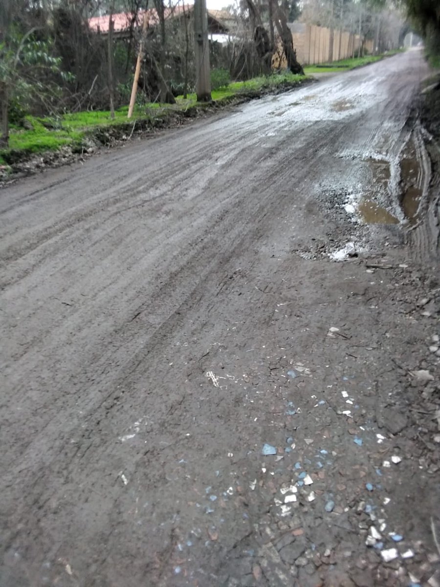 SantaAnaDeChena's tweet photo. Un peligro inminente para los peatones y ciclistas en el camino de tierra Los Talaveras de Santa Ana de Chena. @TomasVodanovic @lavozdemaipu @CHVNoticias @jvcdsatelite https://t.co/pbs0BsI6px