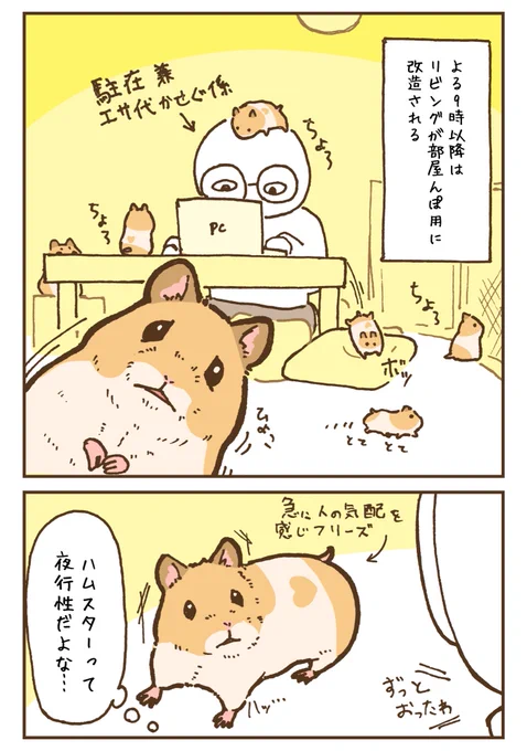 (再掲)Twitterを見るハムスター 