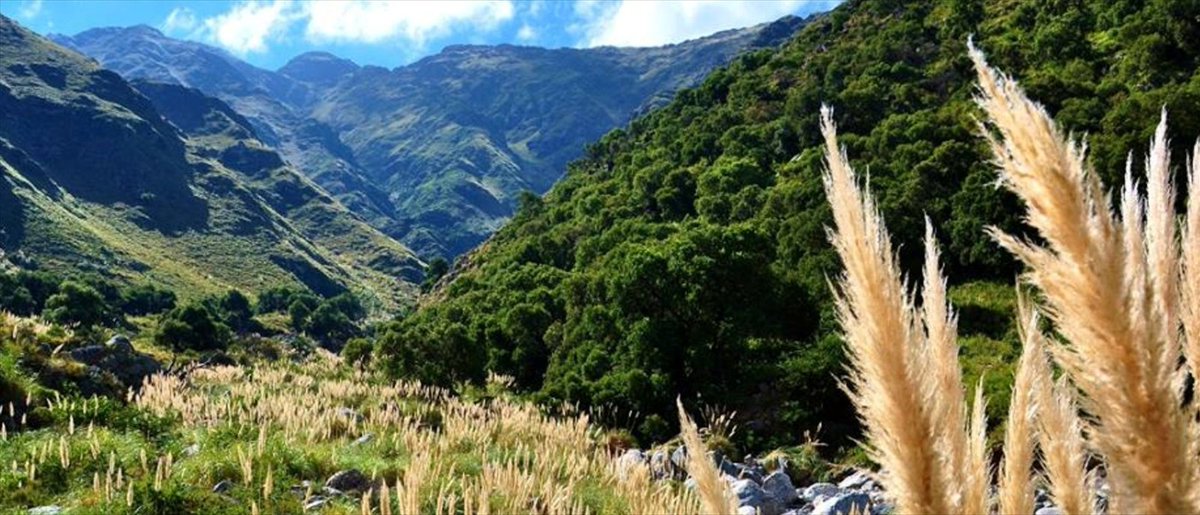 De acuerdo a los primeros relevamientos del Observatorio Argentino de Turismo (OAT), se registra un gran movimiento turístico en todo el país.

informando.com.ar/merlo-y-la-cos…