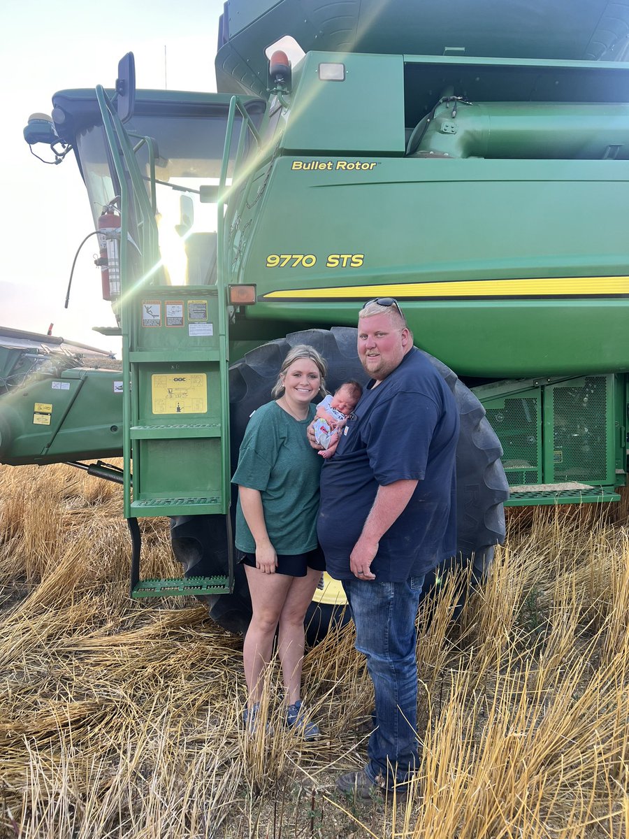 Wheat harvest with our new addition to the crew!