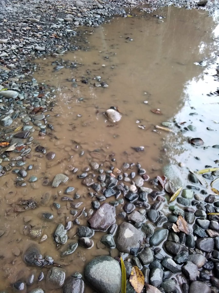 SantaAnaDeChena's tweet photo. URGENTE motoniveladora camino de tierra Los Talaveras, Santa Ana de Chena @TomasVodanovic @jvcdsatelite @lavozdemaipu https://t.co/EJyPrntJ7b