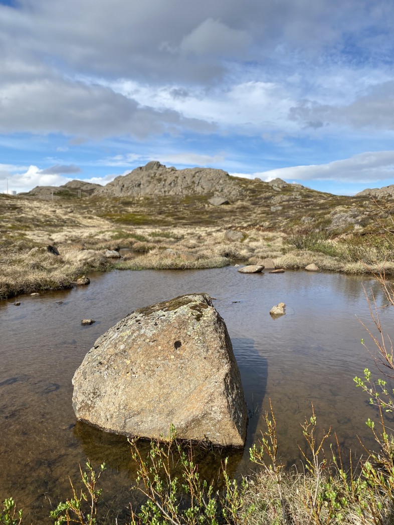 Now that I’ve moved back to #Iceland, I've started taking photos there. This is one of those.

#photography #nature