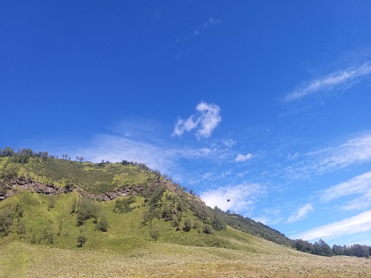 kabarufo's tweet photo. Penampakan UFO yang tak sengaja terpotret.

Bukit Teletubbies (Lembah Jemplang), Gunung Bromo, Probolinggo, Jawa-Timur, 10 Juli 2023, pukul 09:21 WIB.

Dipotret oleh Yoned dgn menggunakan ponsel Samsung Galaxy A9.

"Saya baru sadar ada objek aneh itu, setelah mengecek hasil foto" https://t.co/sZnpLYoxyf