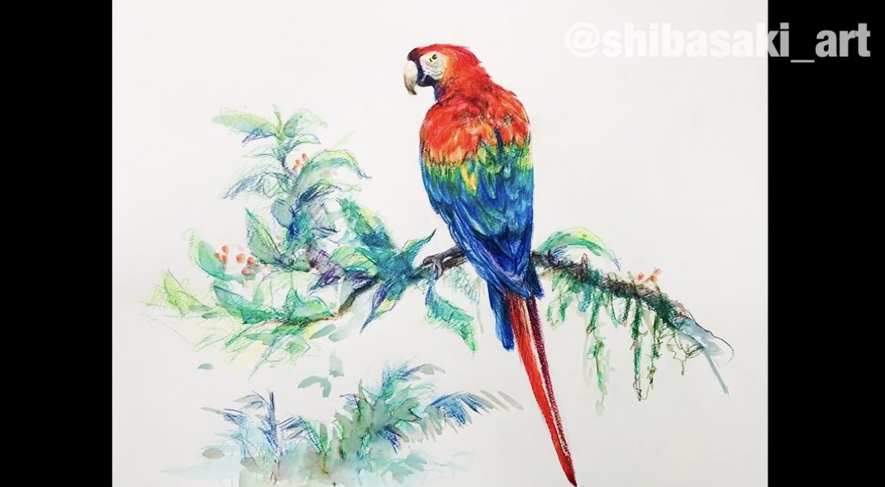 Sweet baby  色鉛筆画 水彩画 Sweet baby 色鉛筆画 水彩画 Sweet baby 色鉛筆画 水彩画 K