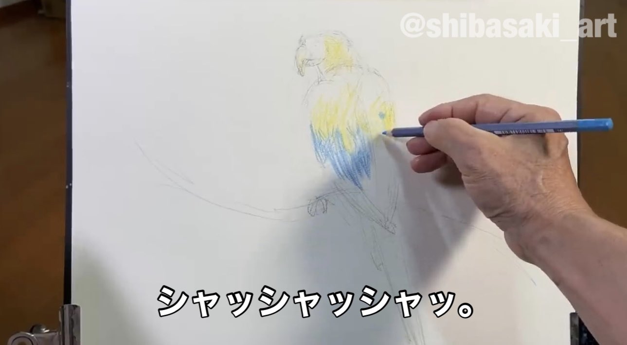 Sweet baby  色鉛筆画 水彩画 砂糖みかく／Mikaku Satou | 「不可能」 画用紙／色鉛筆 16cm