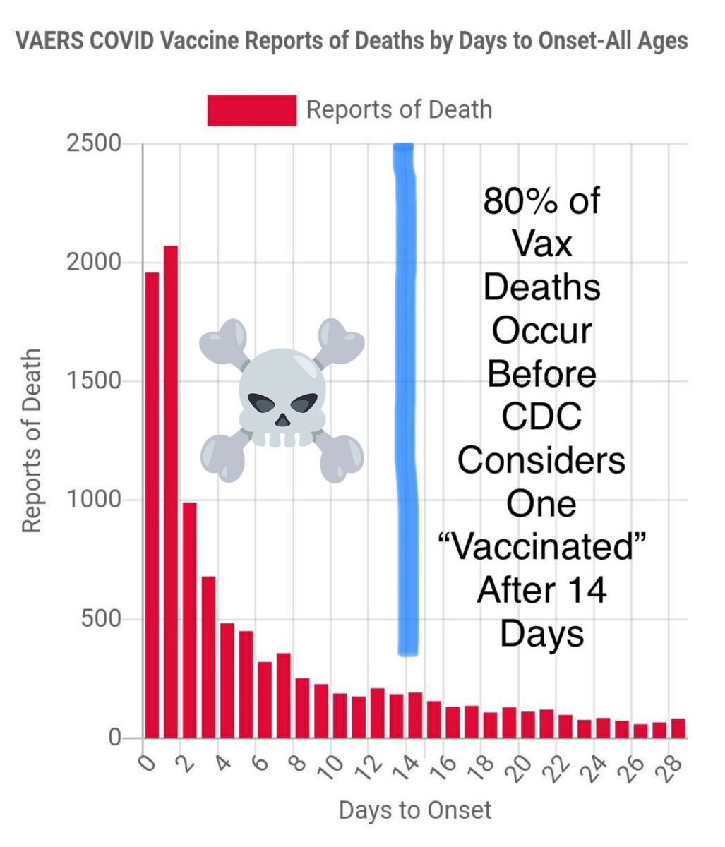 Bamboo Doggy on Twitter "More like the majority. All you have to do is