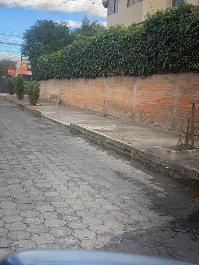 MathiasBM's tweet photo. @aguadequito @babadmerchan @MunicipioQuito @pabelml @teleamazonasec 
Fuga de agua por casi 2 semanas en el barrio Monteserrin, calles Guindas y Perales. No hay respuesta del agua potable. Gracias por su apoyo gestionando la reparación. https://t.co/CdGqU8ZREg