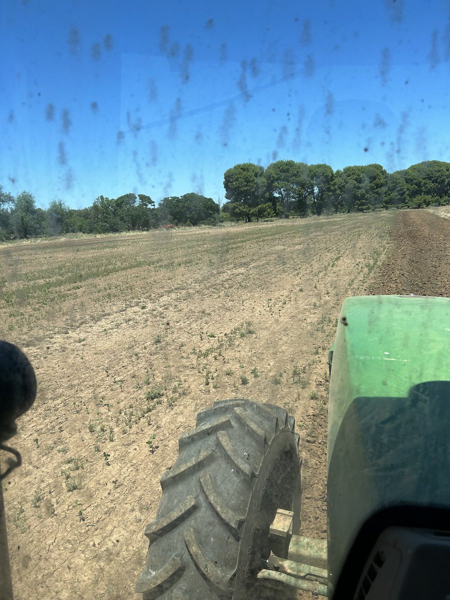 tim_downie's tweet photo. After 3 attempts at getting something off this 40ha it was 3rd time lucky with some 1315 and 606it-had to go imi tolerant through using spinnaker on the failed soybeans 🤦‍♀️ https://t.co/evHIqQesPY
