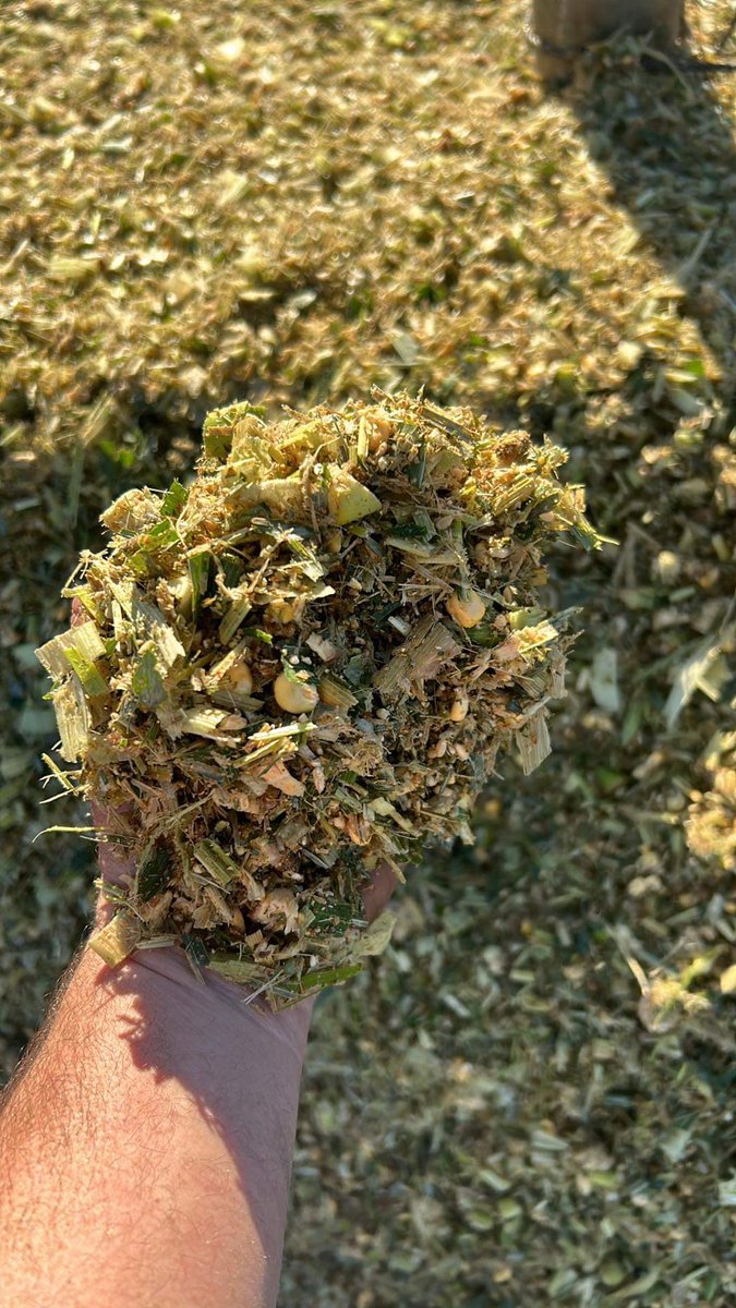 tim_downie's tweet photo. After 3 attempts at getting something off this 40ha it was 3rd time lucky with some 1315 and 606it-had to go imi tolerant through using spinnaker on the failed soybeans 🤦‍♀️ https://t.co/evHIqQesPY