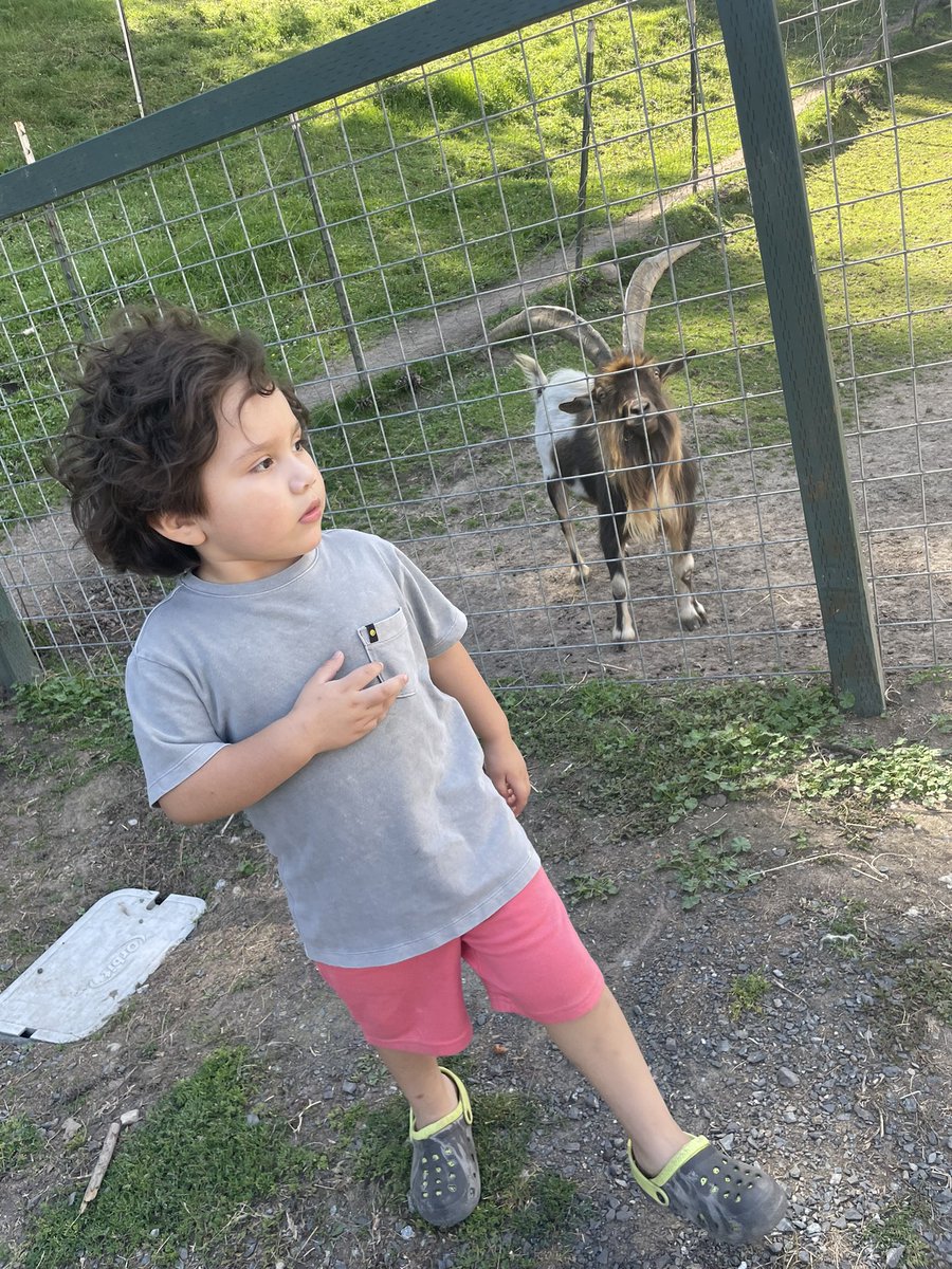 quennia_03's tweet photo. I have the happiest babies ever ❤️🥺 https://t.co/fI4SDB05a1