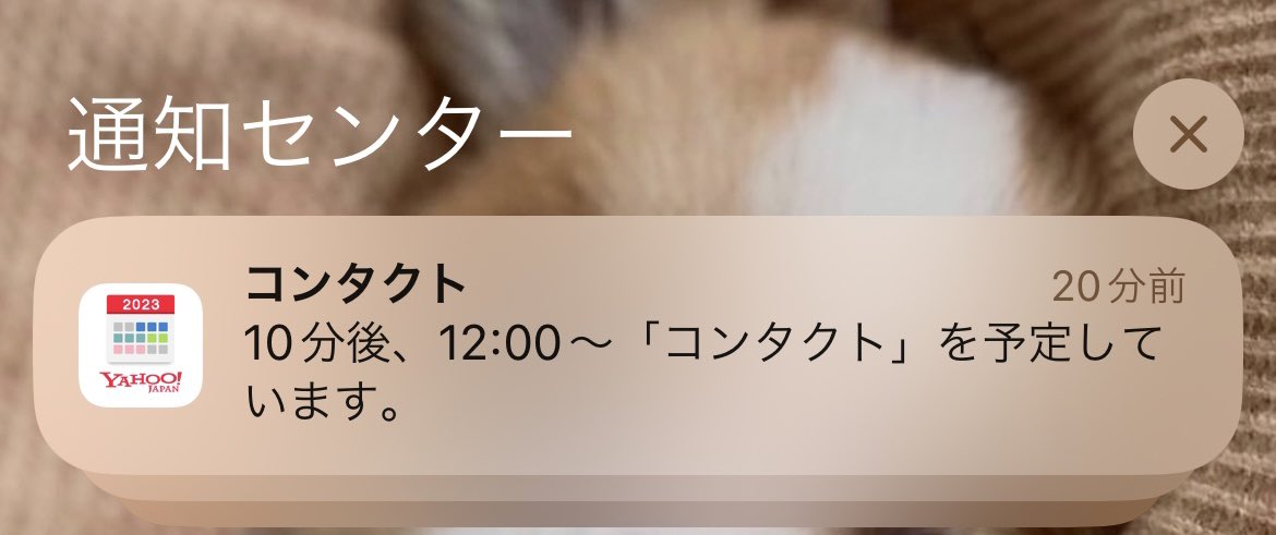 思い出せない、12時からコンタクトってなんだっけか、、