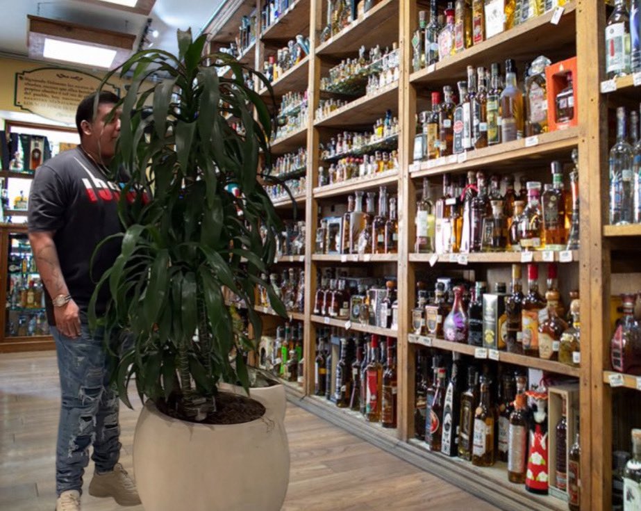 districtlazo's tweet image. Me trying to hide from liquor