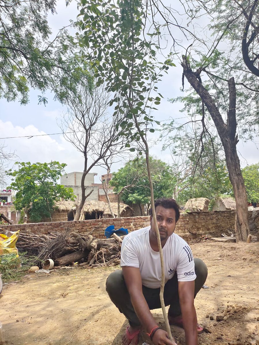 KDBadoli0001's tweet photo. #पेड़ लगाओ #पेड़ बचाओ इस दुनिया को औऱ सुंदर बनाओ सावन के महीने में आप सभी को भी एक पेड़ जरूर लगाना चाहिए पेड़ लगाने का बहुत पुण्य मिलत हैं 
@KPGBJP
@NaveenGoyalBJP
@cmohry 
@HinduYouthAlert 
@NavbharatTimes 
@varungandhi80 
@DiprHaryana 
@DC_Palwal https://t.co/u7keO0ZHt8