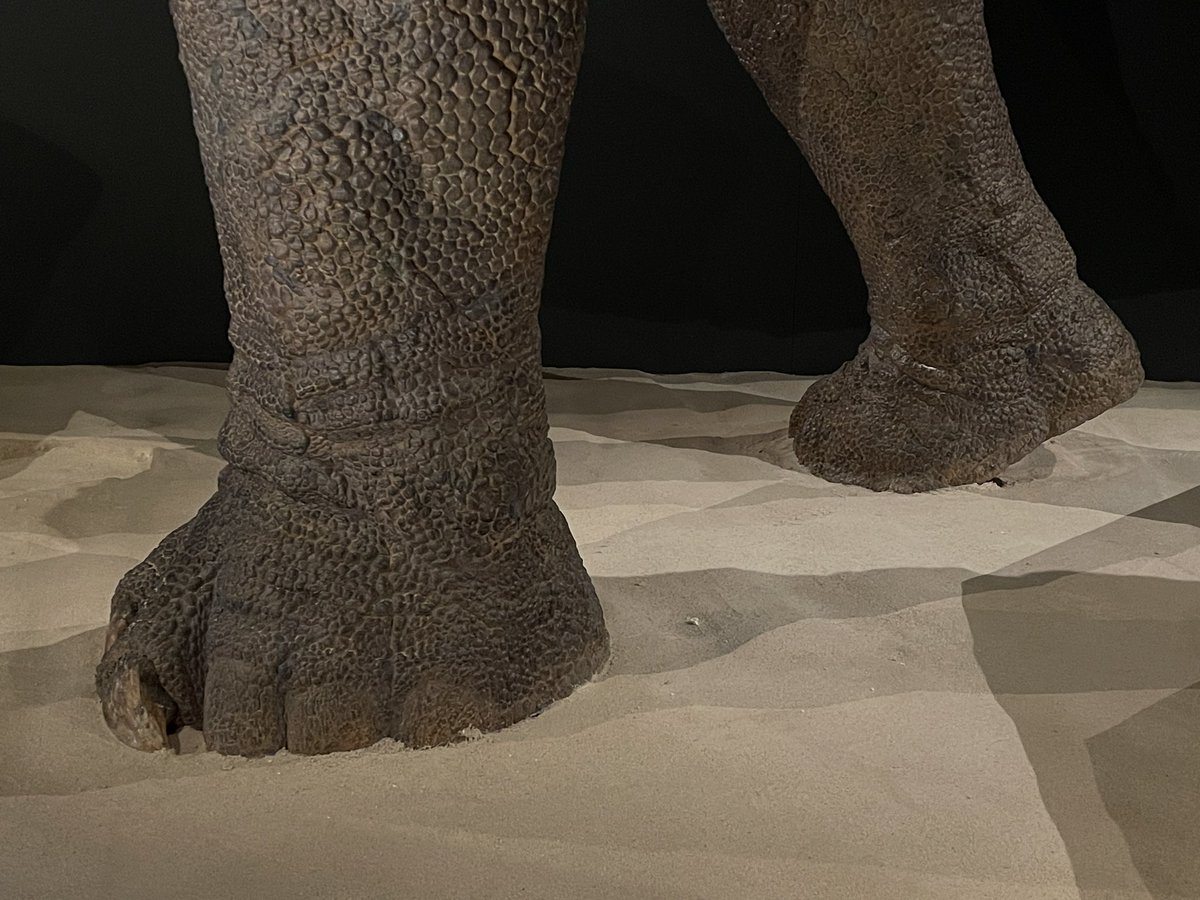 Steve Salisbury tweet media