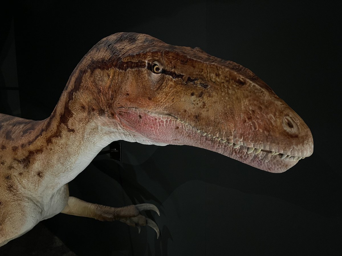 Steve Salisbury tweet media