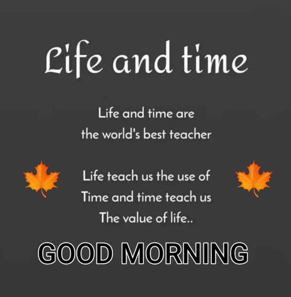 PoojaDh15858825's tweet image. #LifeAndTime