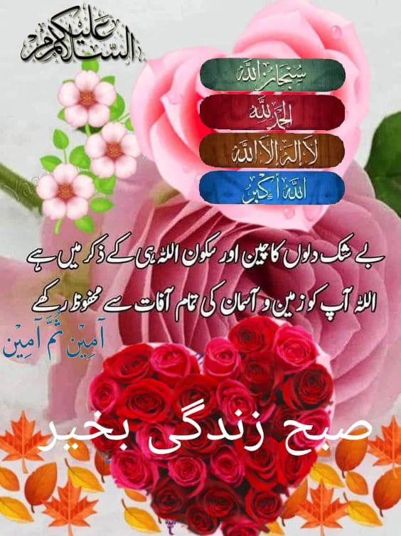 MumtazAsim71's tweet photo. https://t.co/Fz849emc2V